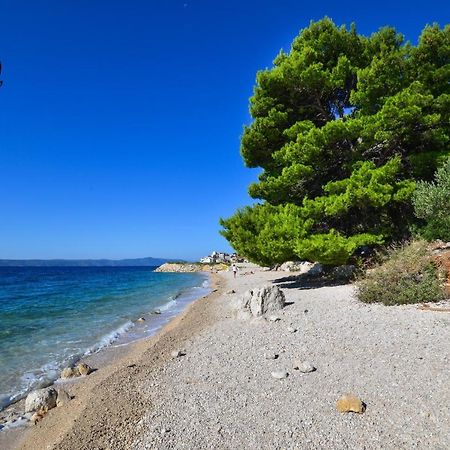 Apartman Luka Igrane Bagian luar foto